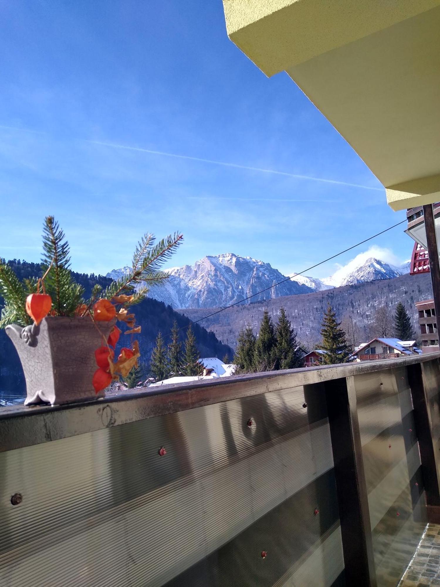 Skyline Villa Azuga Dış mekan fotoğraf